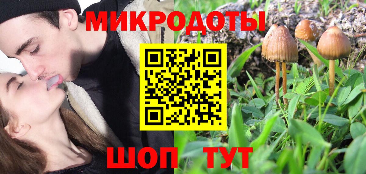 Магадан  Псилоцибиновые грибы мухоморы  Вход с VPN 